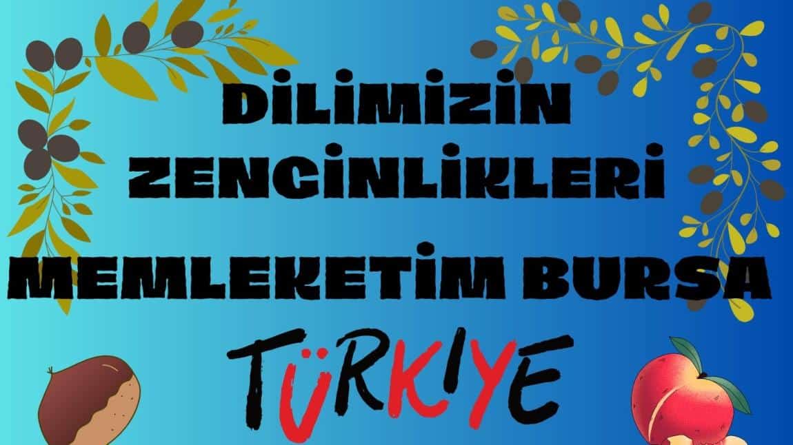 DİLİMİZİN ZENGİNLİKLERİ PROJESİ