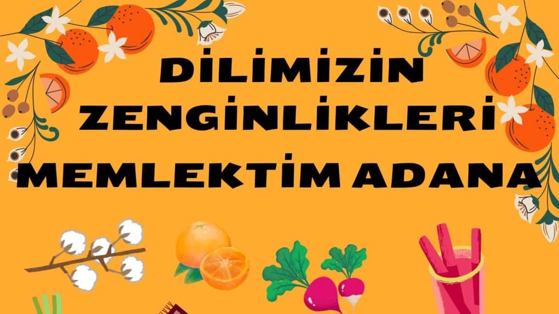 DİLİMİZİN ZENGİNLİKLERİ PROJESİ